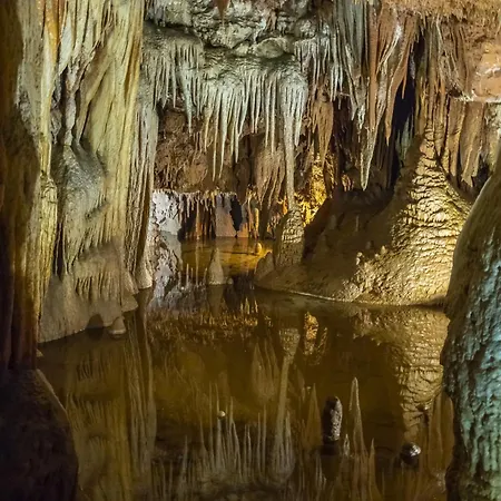 Appartamento In - Istrien 43262