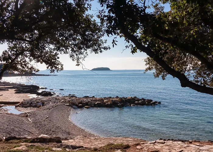 Appartamento In - Istrien 43262 *